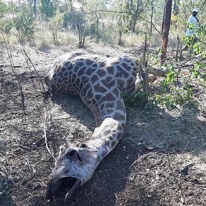 Anti-poaching Patrol