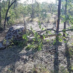 Anti-poaching Patrol