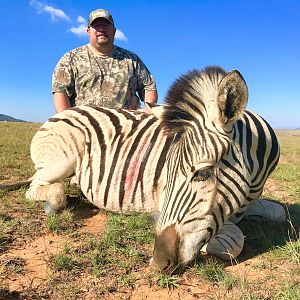 South Africa Hunt Burchell's Plain Zebra