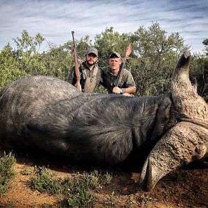 South Africa Hunting Cape Buffalo