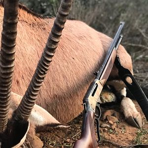 Henry 45/70 Lever-action Rifle with open sights