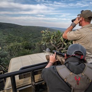 Glassing Game & Hunting South Africa