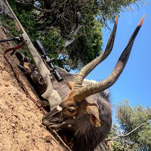 Hunt Nyala in South Africa