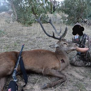 Red Stag Hunting Australia