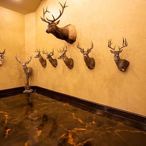 Trophy Room