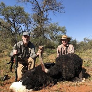 Ostrich Hunt South Africa