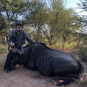 Hunting Blue Wildebeest in South Africa