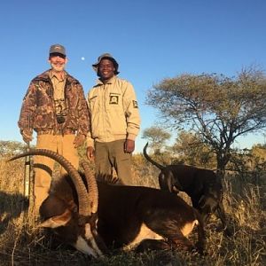 Sable Hunting South Africa