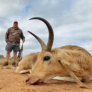 Mountain Reedbuck Hunting South Africa