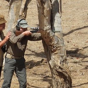 Hunting Cape Buffalo