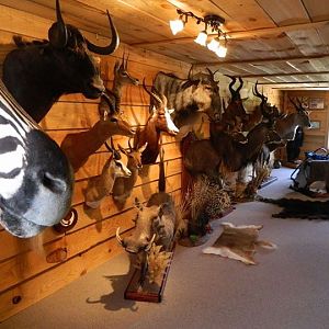 Trophy Room