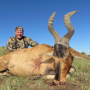 Red Hartebeest Hunting South Africa