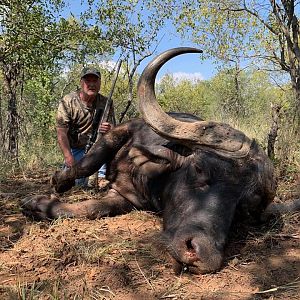 Hunt Cape Buffalo in South Africa