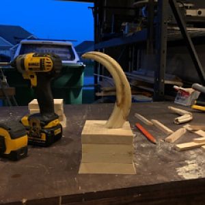 Warthog Tusk Display Project