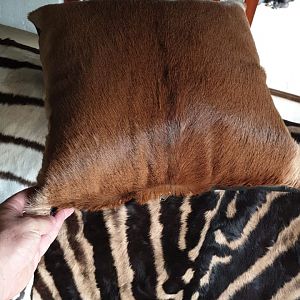 Impala Skin Pillow Taxidermy