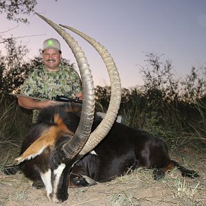 Hunting Sable Antelope in South Africa