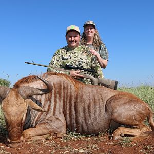 South Africa Hunting Golden Wildebeest