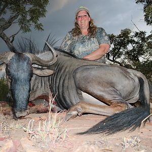 South Africa Hunt Blue Wildebeest