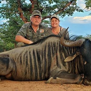 Hunt Blue Wildebeest in South Africa