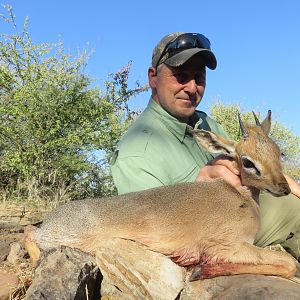 Damara Dik Dik Hunting Namibia