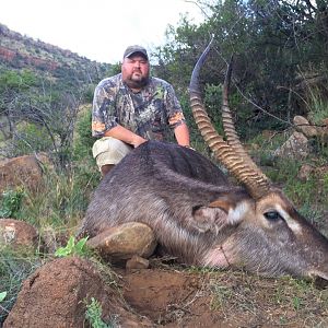 Waterbuck Hunting South Africa