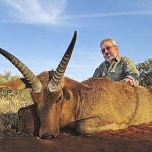 South Africa Hunt Reedbuck