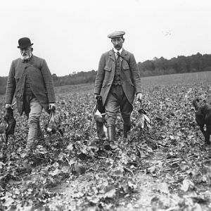 Partridge Wingshooting