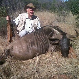 Hunt Blue Wildebeest in South Africa