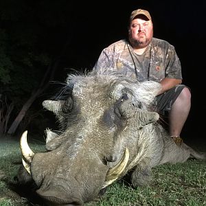 South Africa Hunting Warthog