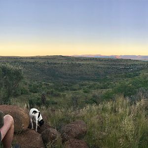 South Africa Landscape