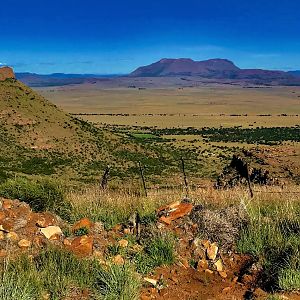 Landscape South Africa