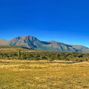 South Africa Landscape