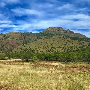 Landscape South Africa