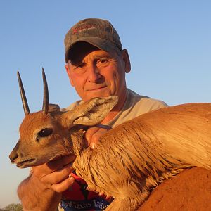 Steenbok Hunting Namibia