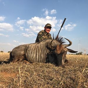 South Africa Hunt Female Blue Wildebeest