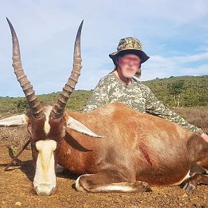 Hunt Blesbok in South Africa