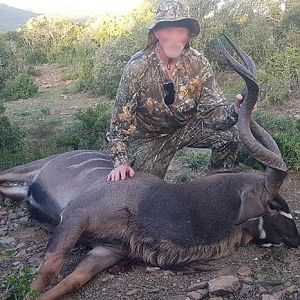 Kudu Hunting South Africa