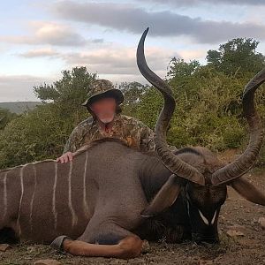 South Africa Hunt Kudu