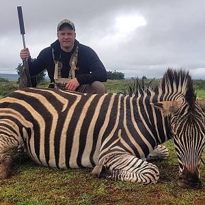 Burchell's Plain Zebra Hunting South Africa