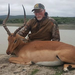 Impala Hunting South Africa