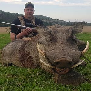 Hunting Warthog in South Africa