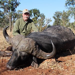 Hunt Cape Buffalo in Zimbabwe