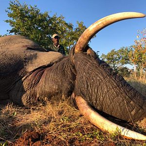 Elephant Hunting Zimbabwe