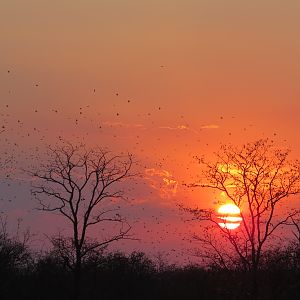 Sunset in Zimbabwe