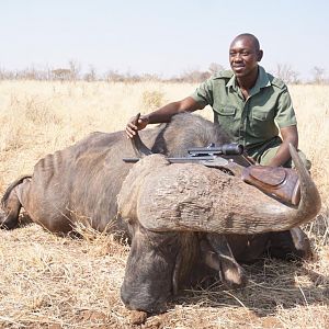 Zimbabwe Hunting Cape Buffalo