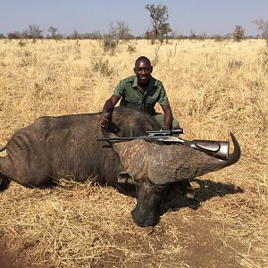 Hunting Buffalo in Zimbabwe