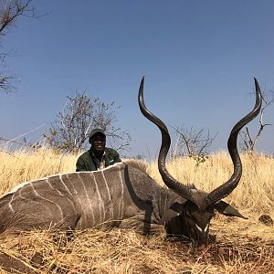 Zimbabwe Hunting Kudu