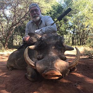 Hunting Warthog in South Africa