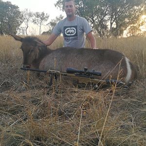 Waterbuck hunt