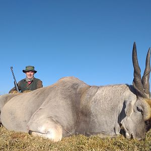 Eland at Koppie Dam Nature Reserve